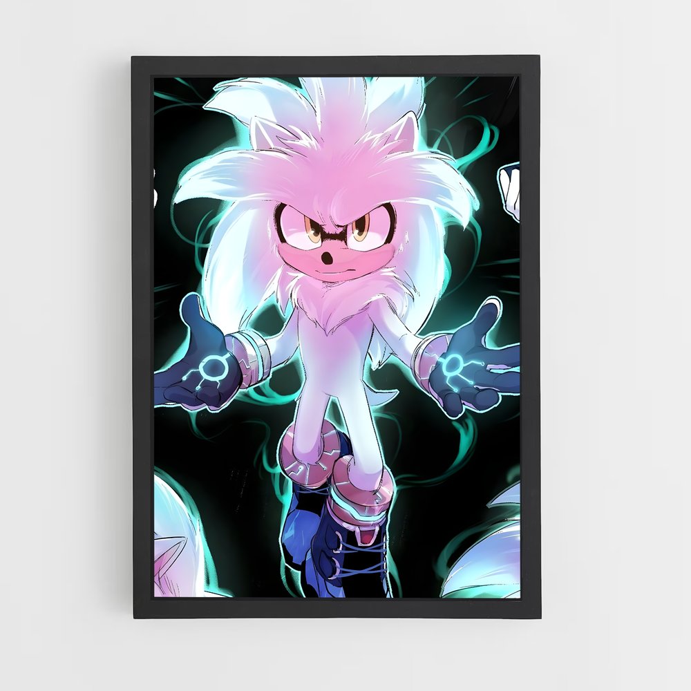Poster Silver sonic (vue 2)